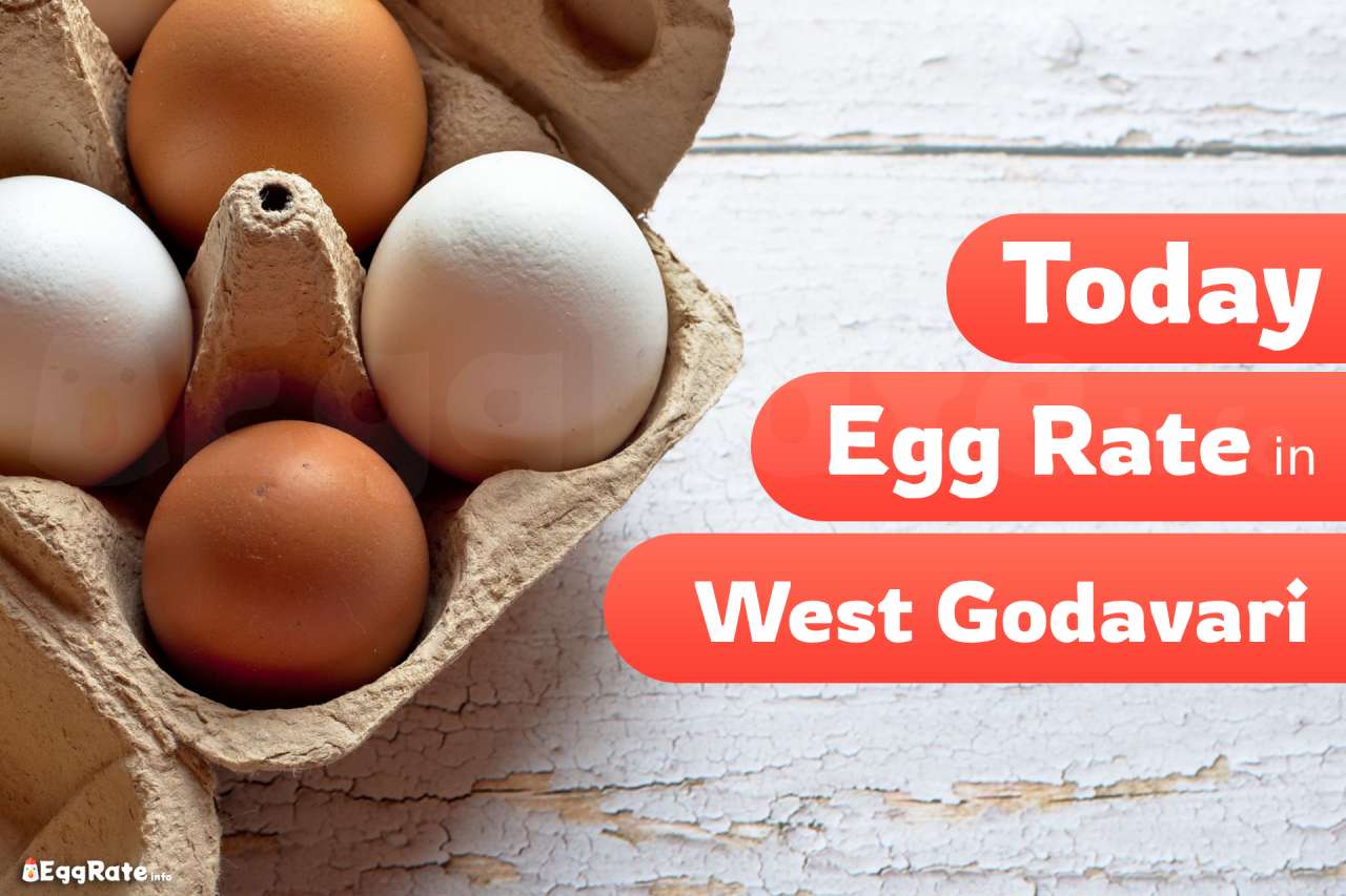 Today Egg Rate in West-Godavari