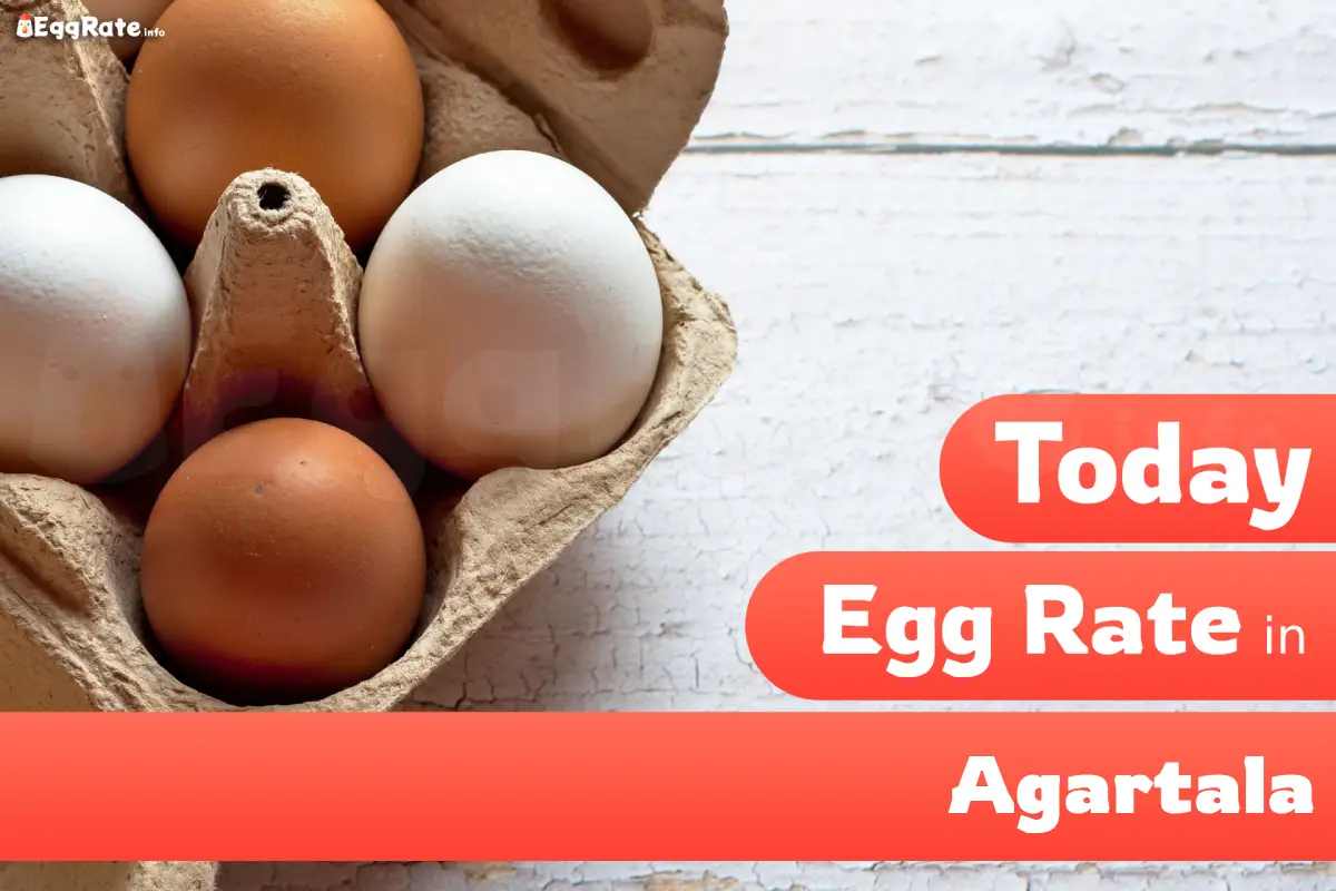 Today egg rate in Agartala