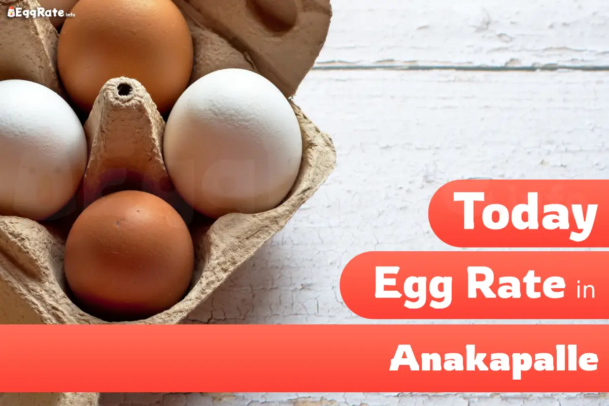 Today egg rate in Anakapalle