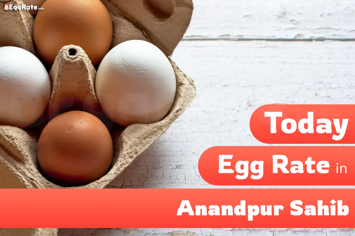 Today egg rate in Anandpur Sahib