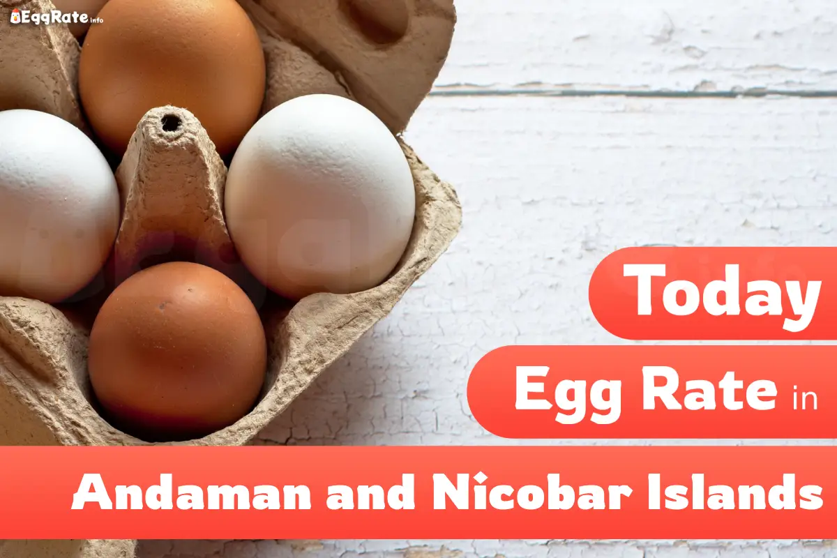 Today egg rate in Andaman and Nicobar Islands