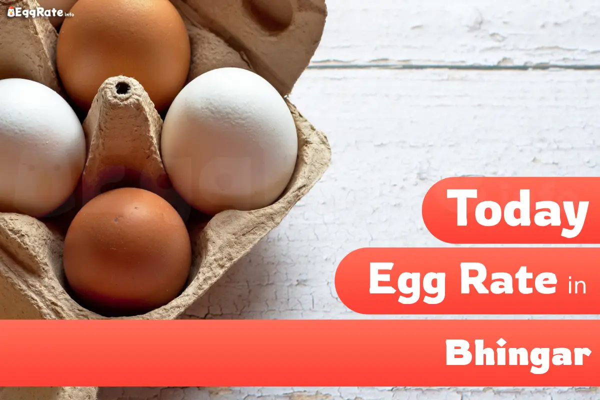 Today egg rate in Bhingar