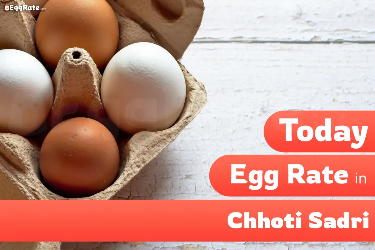 Today egg rate in Chhoti Sadri
