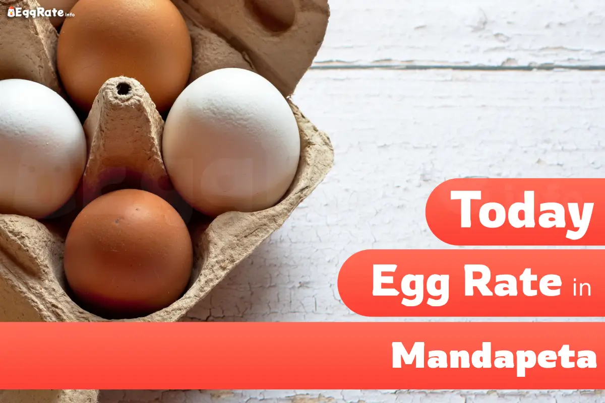 Today egg rate in Mandapeta