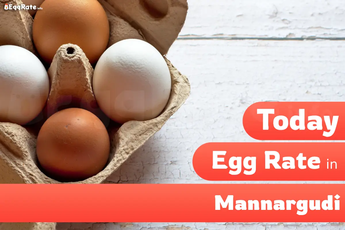 Today egg rate in Mannargudi