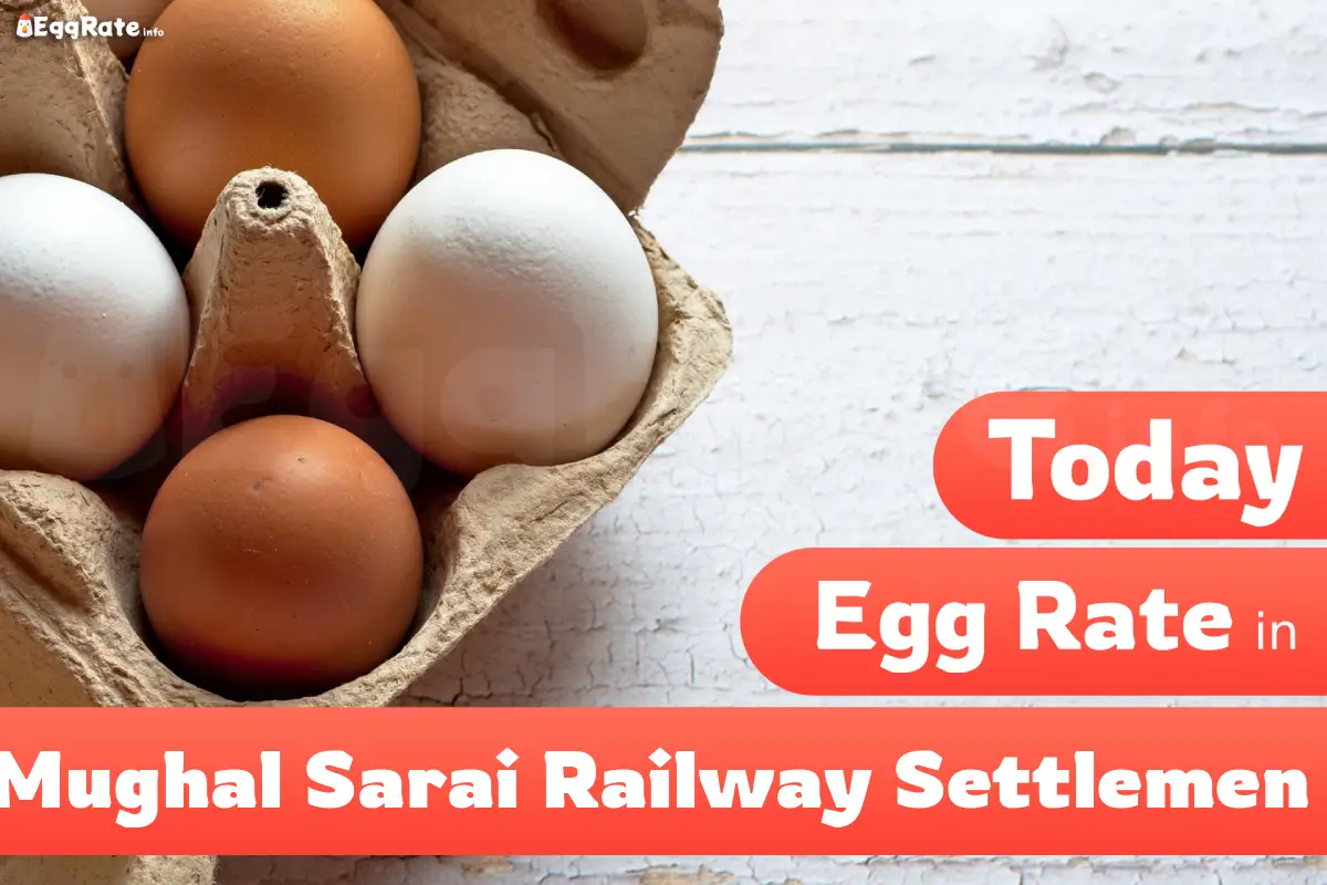 Today egg rate in Mughal Sarai Railway Settlemen